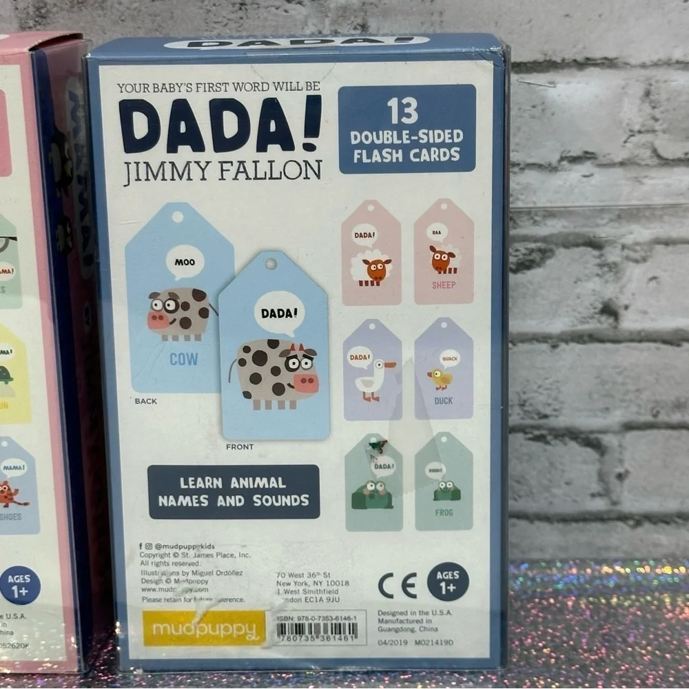 Everything Is Mama! DADA! Double Sided Flash Cards Jimmy Fallon Lot of 2 NEW